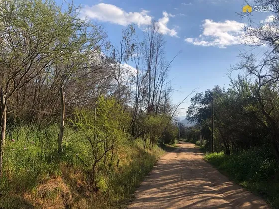Agrícola En Venta En Curacaví