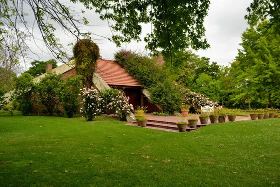 Quinta - L.nogales