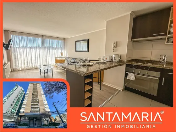 Dpto. En Arriendo 1 Dorm En Orompello, Concepción