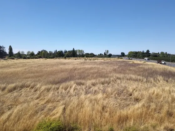 Industrial En Venta En Bulnes