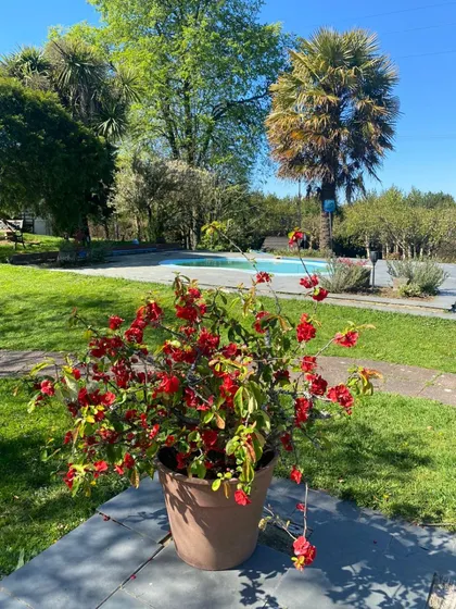 Magnifica Propiedad Para Desarrollo Comercia En Puerto Varas