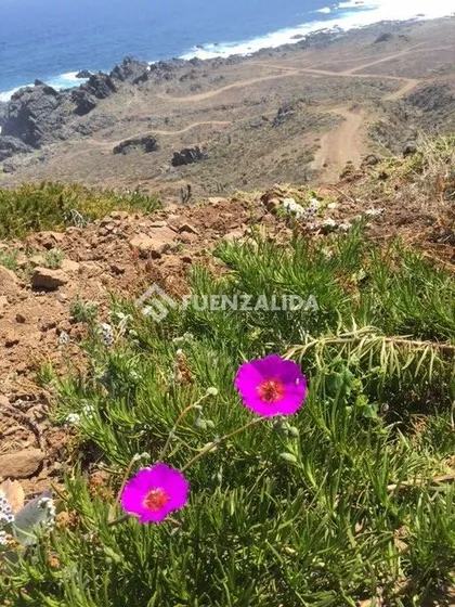 Terreno Construccion En Venta En Ovalle