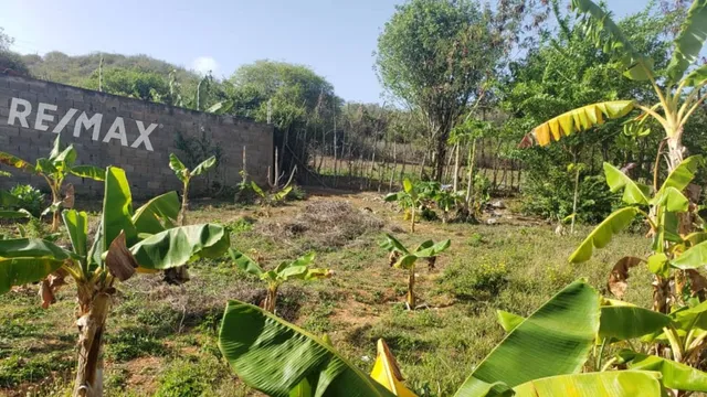 Re/max 2mil Vende Terreno En Caserío Espinoza, Atamo Sur, Mun. Arismendi, Isla De Margarita, Edo. Nueva Esparta