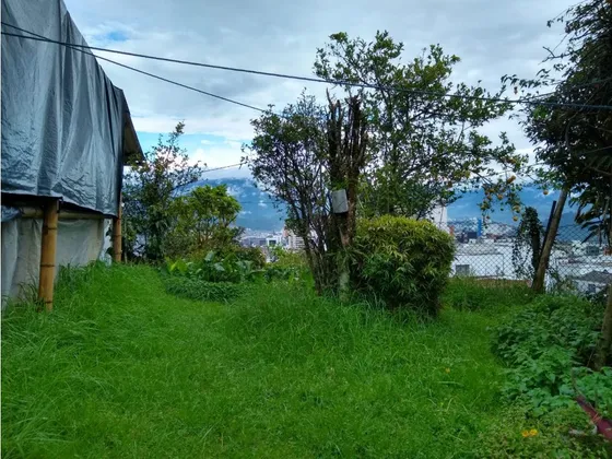 Casa Lote En Venta En Chipre Manizales | Venta De Lotes