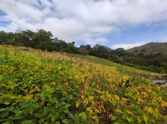 Terrenos A Una Hora De Ibarra
