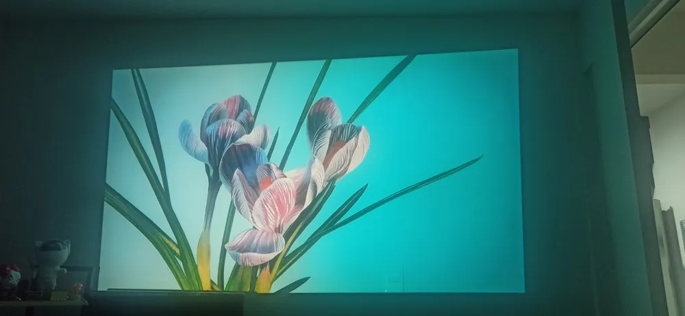 Foto del producto compartida por el comprador 3 de 8