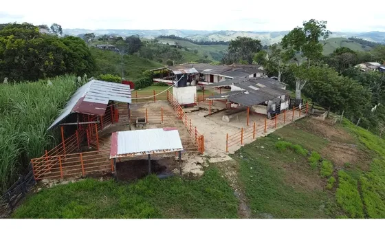 Se Vende Finca Ganadera En Maceo La Susana