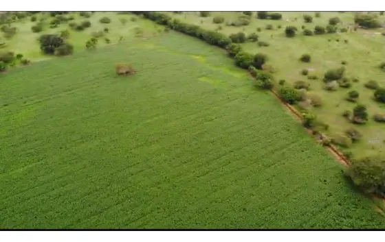 Vendo Finca Tecnificada Para La Ganadería Y(o) Agricultura  En Córdoba