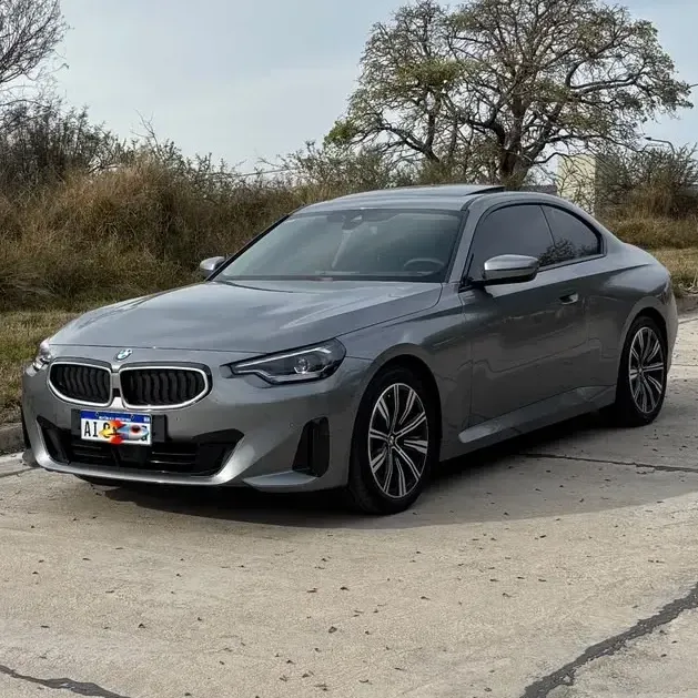 BMW Serie 2 2.0 220I Coupe Advantage 184Cv