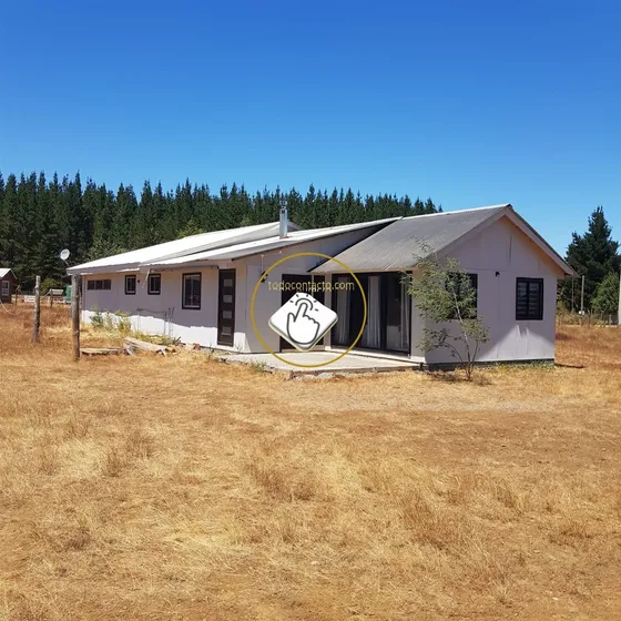 Parcela En Venta En Pinto - Ñuble 6.000 M2 Con Casa
