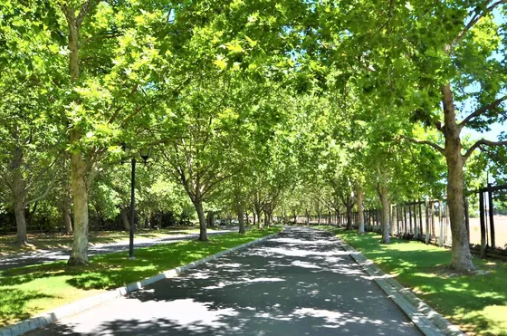 Las Brisas De Chicureo Etapa F