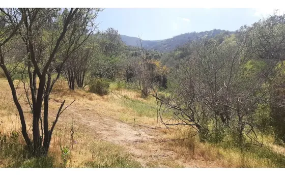 Venta Terreno Lo Gamboa