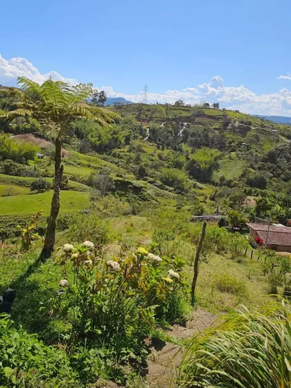 Venta De Finca En Guatape Antioquia 