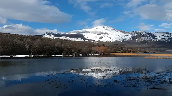 Venta 15 Ha Laguna Larga. P.n. Los Alerces Chubut