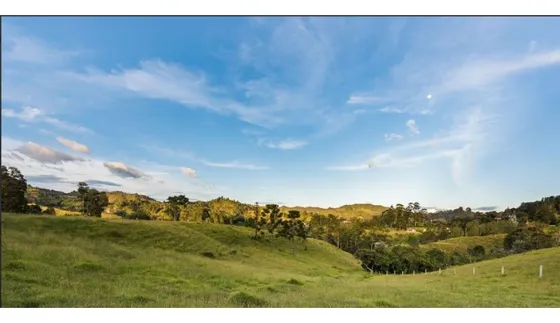 Lotes En Venta Sector Pantanillo El Retiro 
