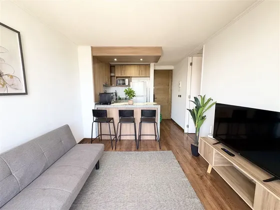 Hermoso Departamento En Venta De 1 Dorm. En Santiago