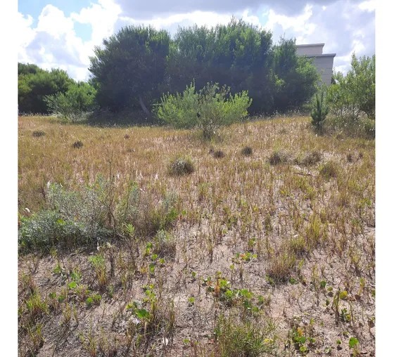 Dueño Directo Vende Lote Interno En Senderos Iv