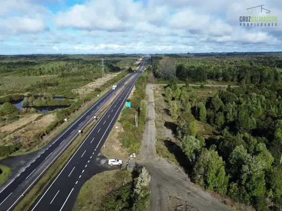 Agrícola En Venta En Puerto Montt 175 Hectáreas