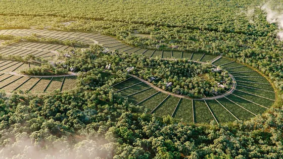 Lotes Eco-reisdenciales  Entreselvas En Venta, Libre Unión