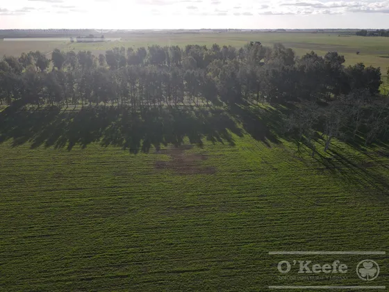 Fracción De Campo De 209 Has En Venta -  La Plata