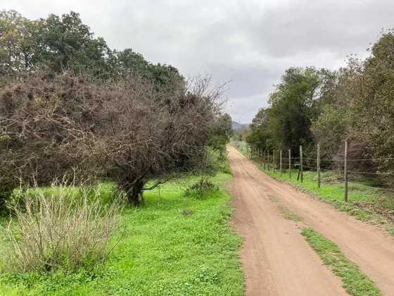 Tranquilidad Y Naturaleza En Tu Refugio (151414)