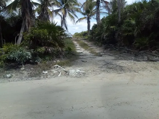 Terreno En Venta En Punta Allen