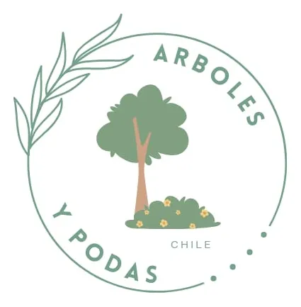 Podas Árboles Y Palmeras Cotice Sin Compromiso Llámanos