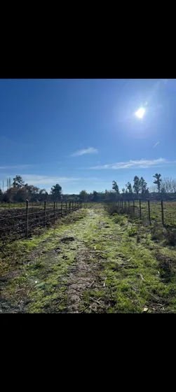 Se Venden Parcelas De 5000 Mts2 En Sector Cabreria