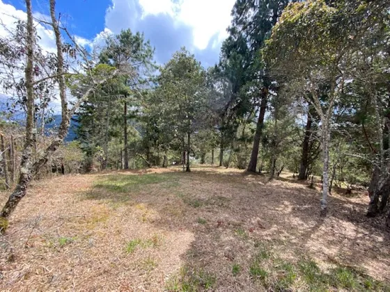 Lote En Venta Ubicado En Envigado Sector Vereda Alto De Las Palmas (25426).