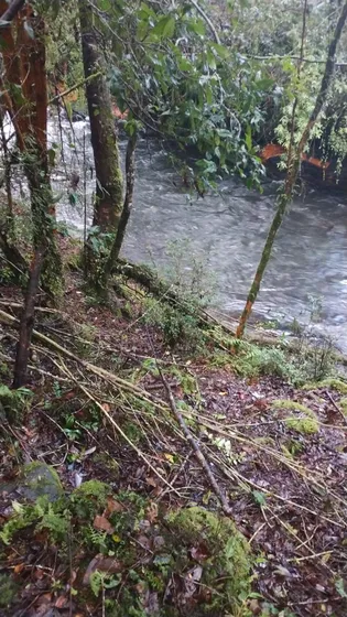 Parcela En Venta En Puerto Octay