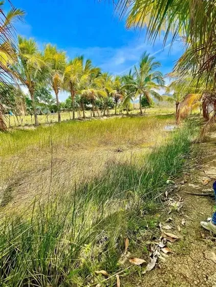 Cf Vende Finca Yaracuy Nirgua Terreno 60.000mts2.