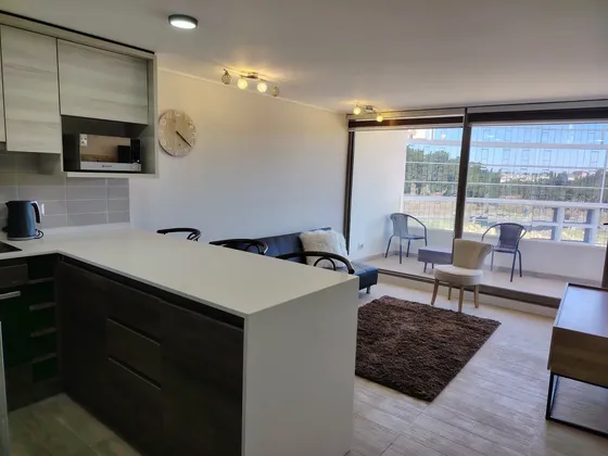 Departamento A Estrenar Y Amoblado En Piso 9, Montemar