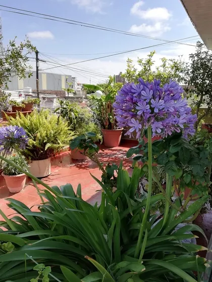 Casa, Estilo Triplex 4 Ambientes, Con Cochera, Sin Expensas 