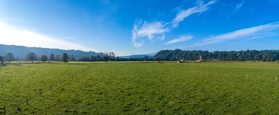 Proyecto De Parcelas 5000mts En Venta, Puerto Montt,