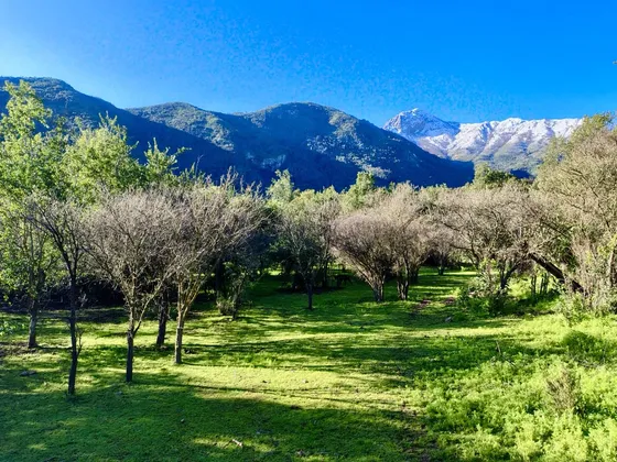 Espectacular Parcela De 5000 M2 En Granizo Olmue