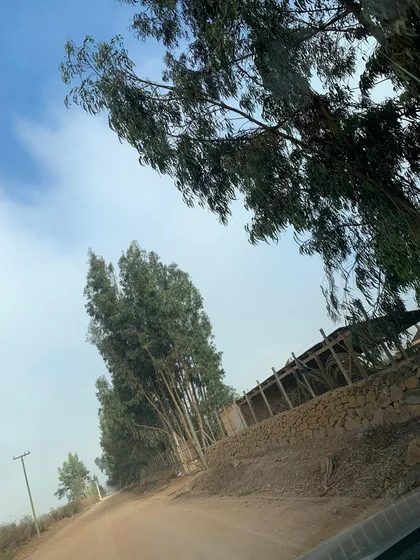 Excelente Terreno En Venta  Pan De Azúcar, Coquimbo
