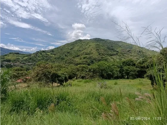 Vendo Lotes Sector La Albania En Titiribí - Suroeste Desde 4.000 M²