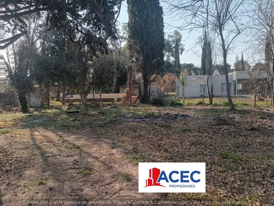 Venta - Terreno- Oliveros