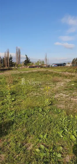 Terreno Construccion En Venta En Quinta De Tilcoco