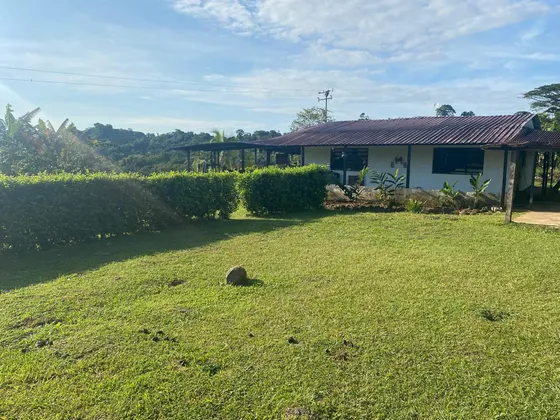 Finca En Venta 203 Hectáreas, Curbati, Barinas Am 