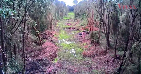 Parcela 6,1 Has, Subdivisible 5.000 M2, Río Bueno