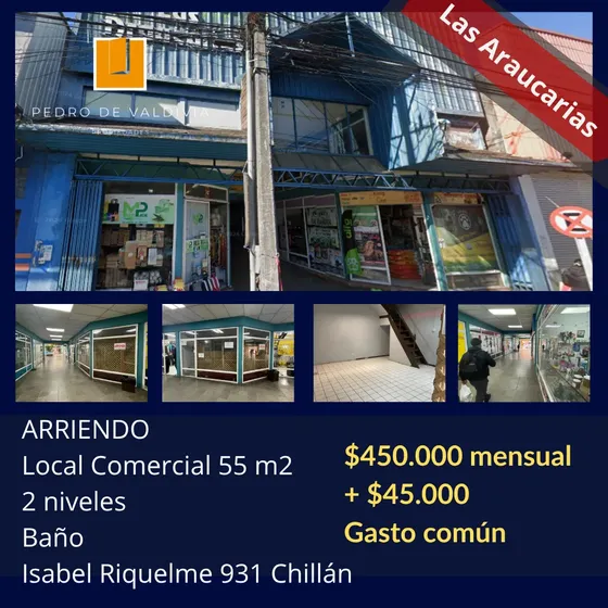 Arriendo Local 55 M2 En Dos Niveles. Las Araucarias Chillán