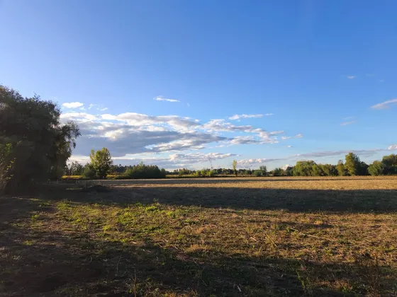 Venta Parcelas Linares, Sector La Posada