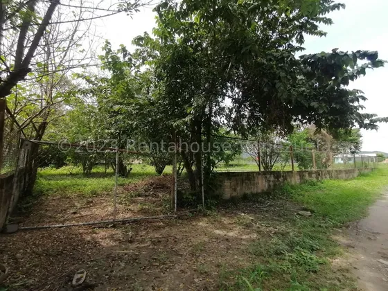 Amplio Terreno De 1.750 Mts2 En Paya Turmero Aragua 24-10193 Ecir