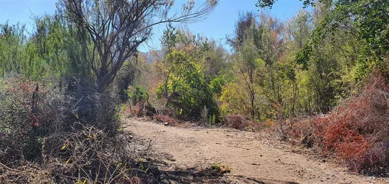 Parcela En Venta En Illapel