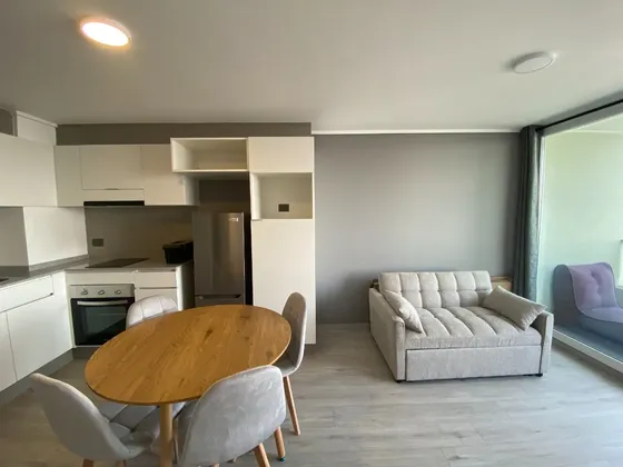 Moderno Departamento 1 Dormitorio , Semi Amoblado