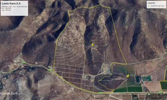 Lote C Sur 193has + Derechos De Aprovechamientode Aguas