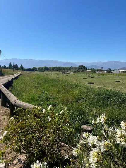 7,2 Ha Subdivididas En 12 Parcelas Con Rol Propio De Paine