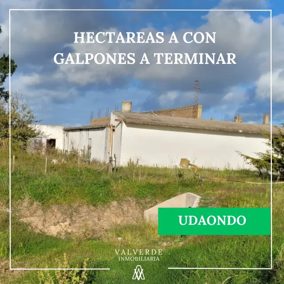 Galpon Con Casa En Udaondo Ideal Emprendimientos Rurales
