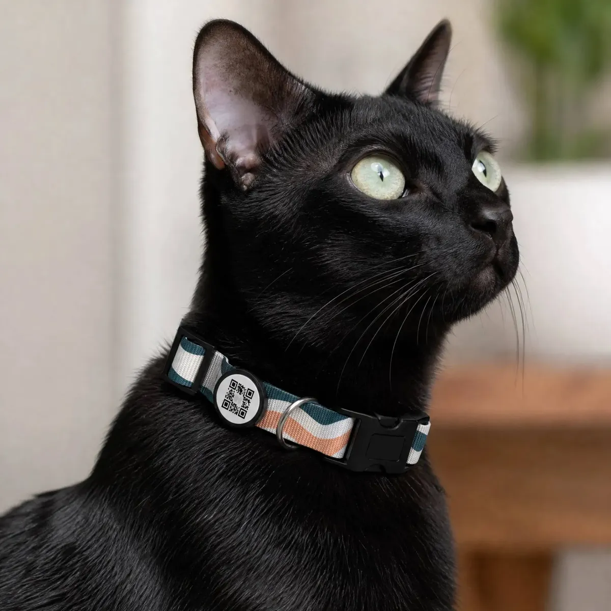Coleira Cães Gatos Identificação Pet Com Qr Code Localizador